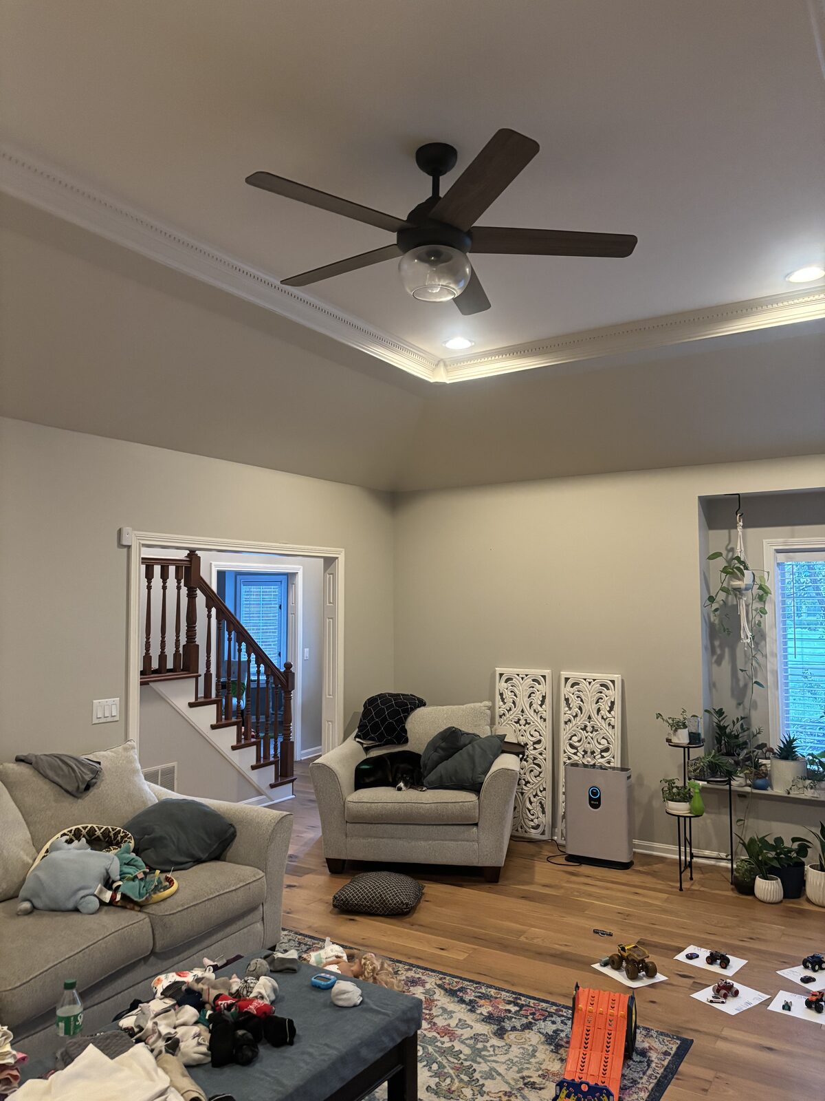 Tray ceiling and crown molding detail after interior painting in Plum Lake, Sellersburg IN