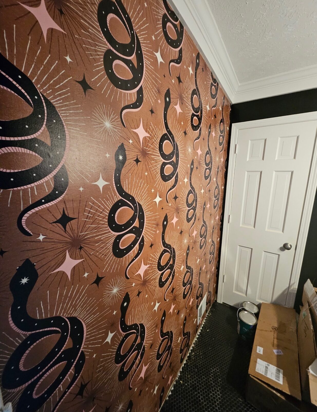 Accent wall with celestial snake print wallpaper installed in Louisville, KY